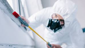 Emergency Pest Control Services in Central, LA